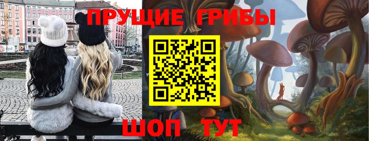 Галлюциногенные грибы Cubensis  Псилоцибиновые грибы прущие грибы  Вход с VPN  закладки  Курчалой 